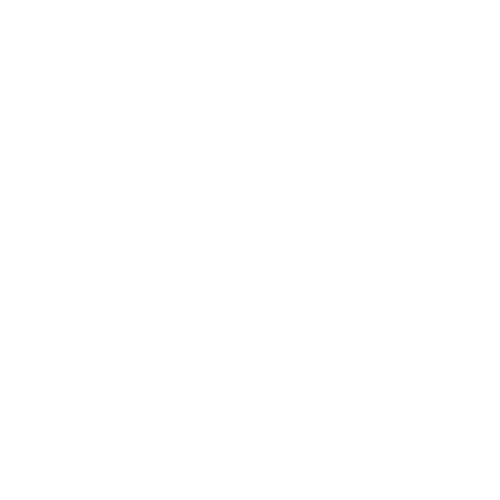 Diabetes Educators Workshop